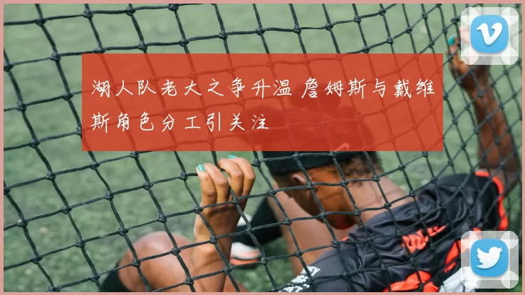 湖人队老大之争升温 詹姆斯与戴维斯角色分工引关注