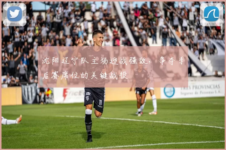 沈阳辽宁队主场迎战强敌，争夺季后赛席位的关键战役