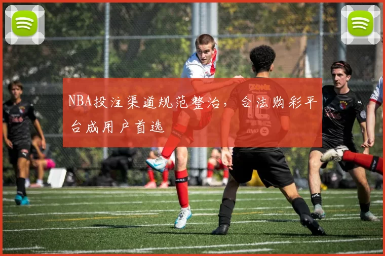 NBA投注渠道规范整治，合法购彩平台成用户首选