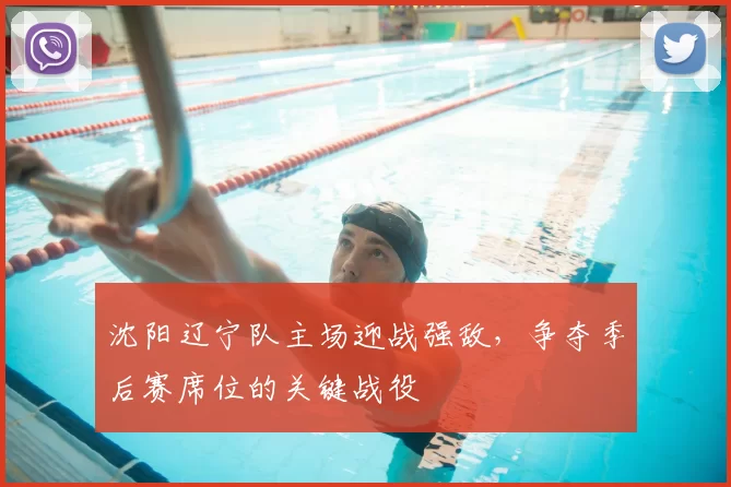 沈阳辽宁队主场迎战强敌，争夺季后赛席位的关键战役