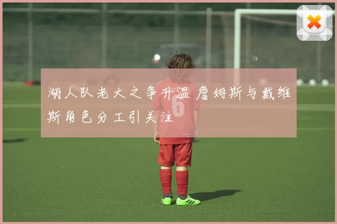 湖人队老大之争升温 詹姆斯与戴维斯角色分工引关注