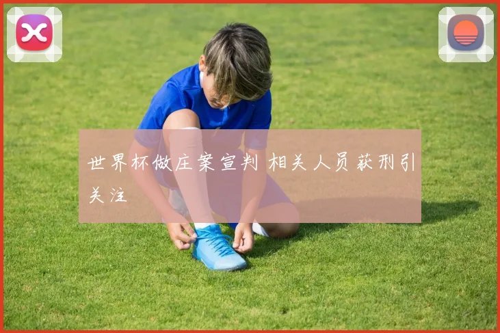 世界杯做庄案宣判 相关人员获刑引关注