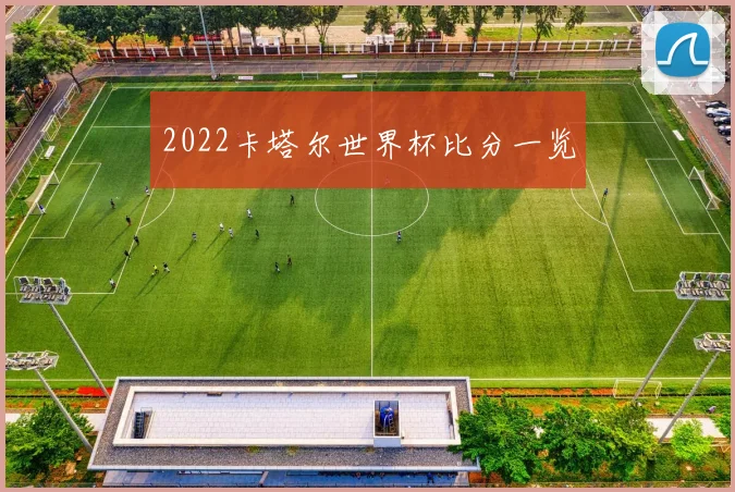 2022卡塔尔世界杯比分一览