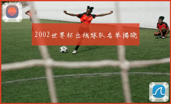 2002世界杯出线球队名单揭晓