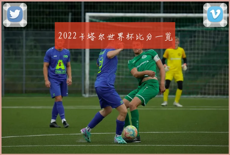 2022卡塔尔世界杯比分一览