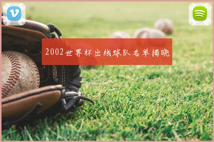 2002世界杯出线球队名单揭晓