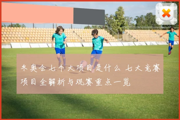 冬奥会七个大项目是什么 七大竞赛项目全解析与观赛重点一览