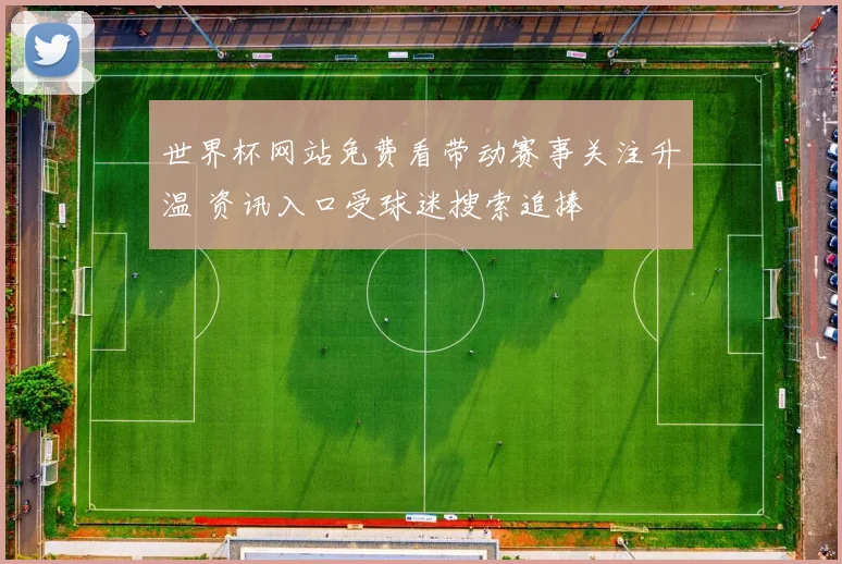 世界杯网站免费看带动赛事关注升温 资讯入口受球迷搜索追捧