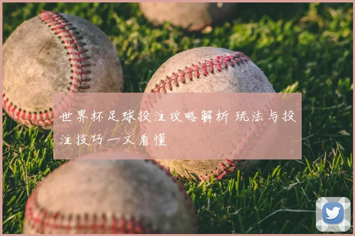 世界杯足球投注攻略解析 玩法与投注技巧一文看懂