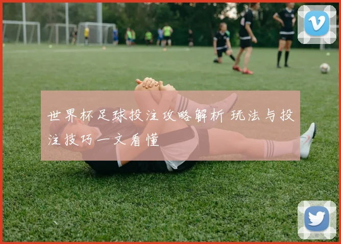 世界杯足球投注攻略解析 玩法与投注技巧一文看懂